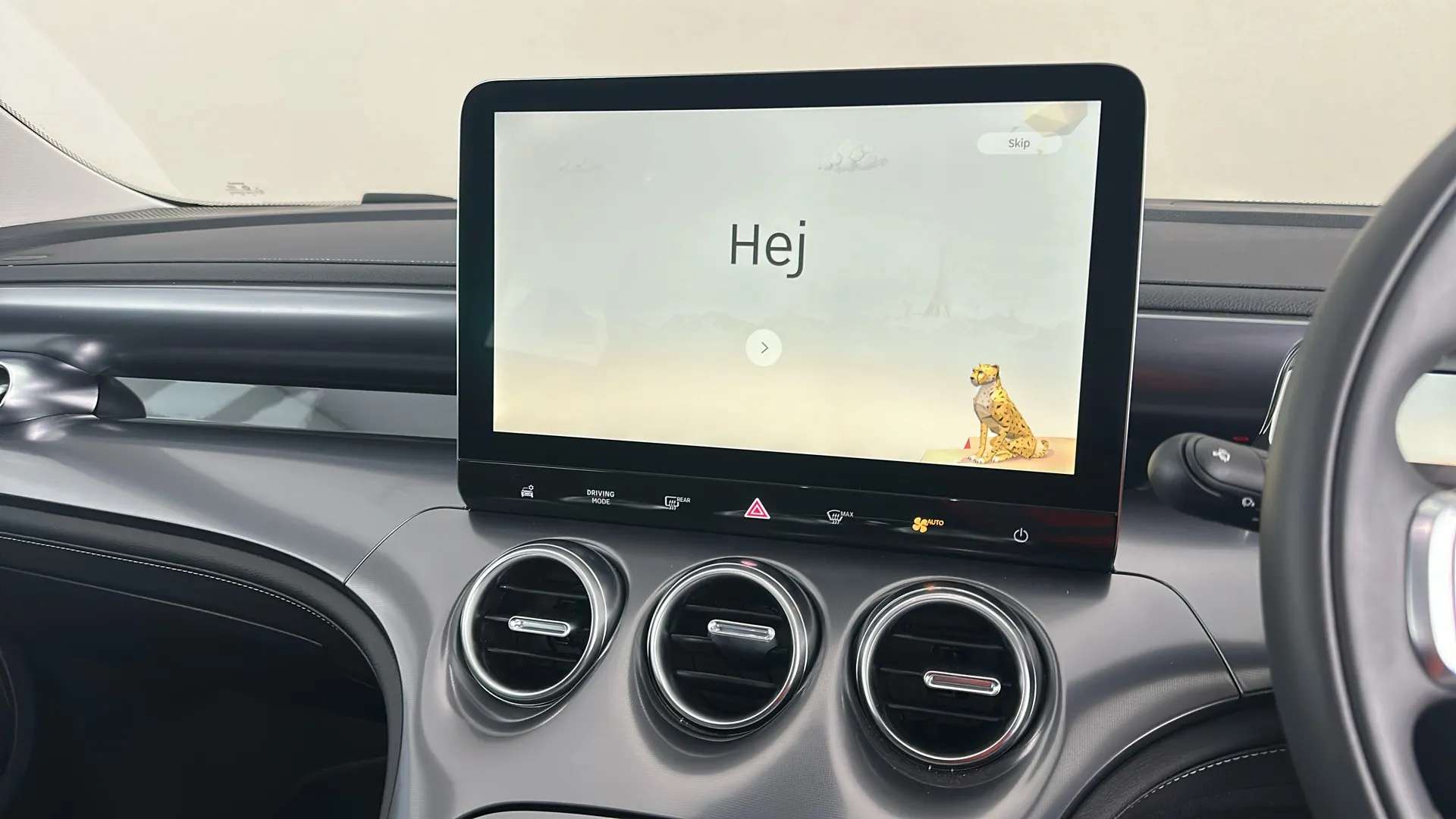 2025 SMART #3 2025 SMART #3