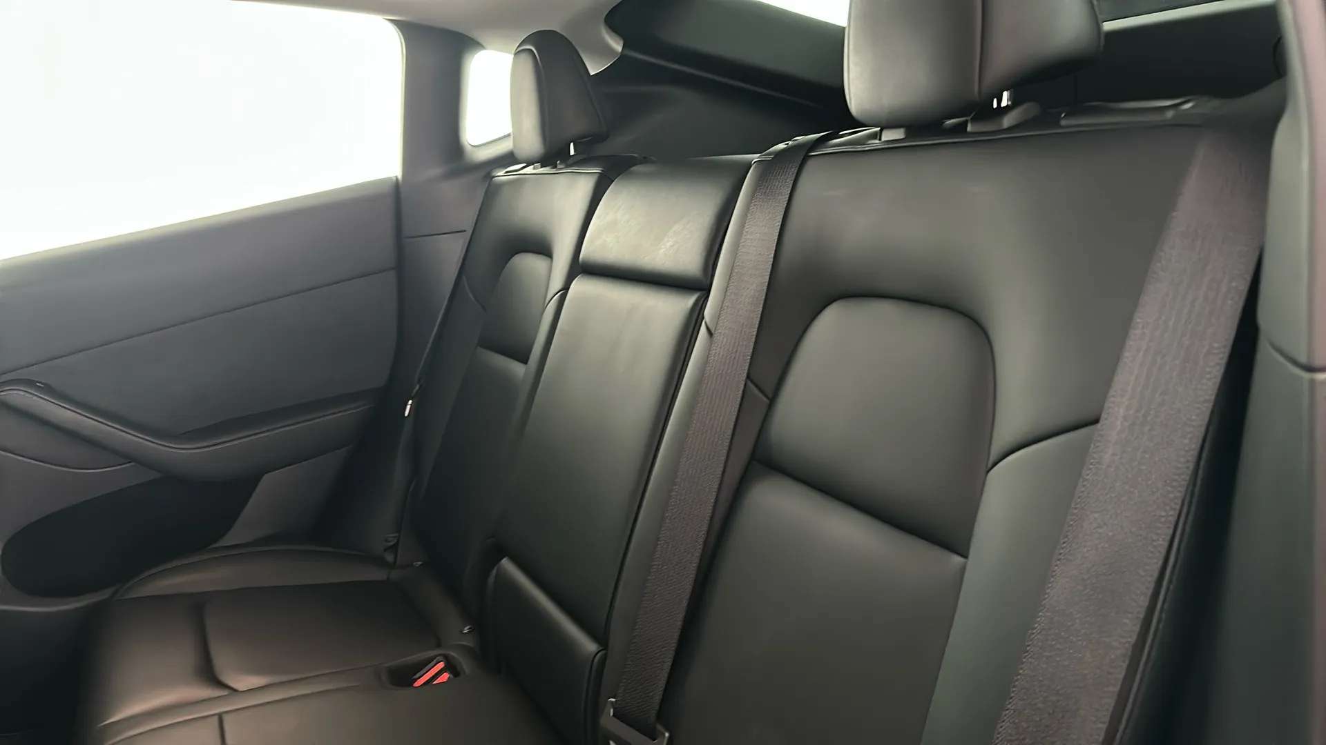2022 TESLA MODEL Y 2022 TESLA MODEL Y