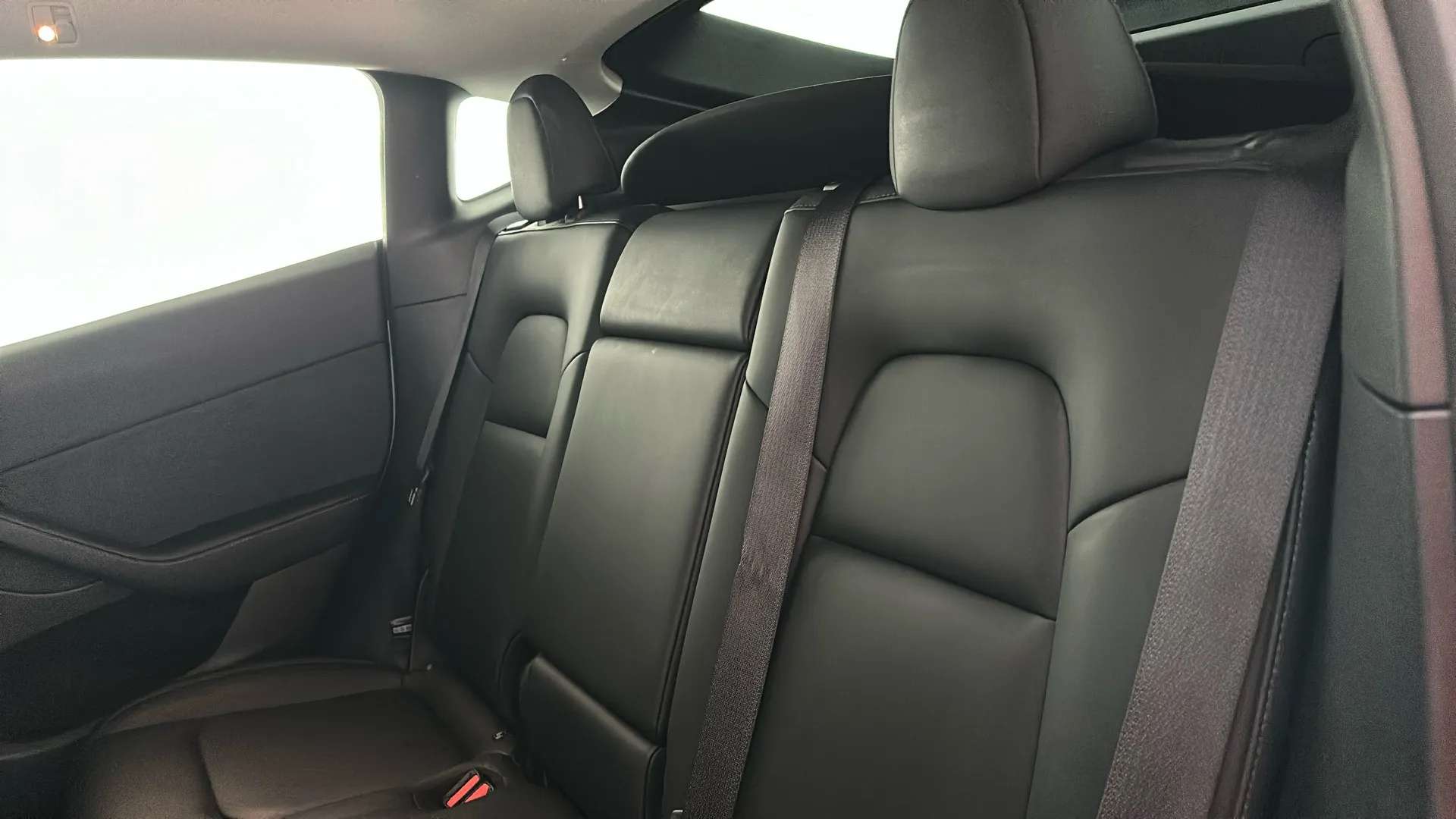 2023 TESLA MODEL Y 2023 TESLA MODEL Y