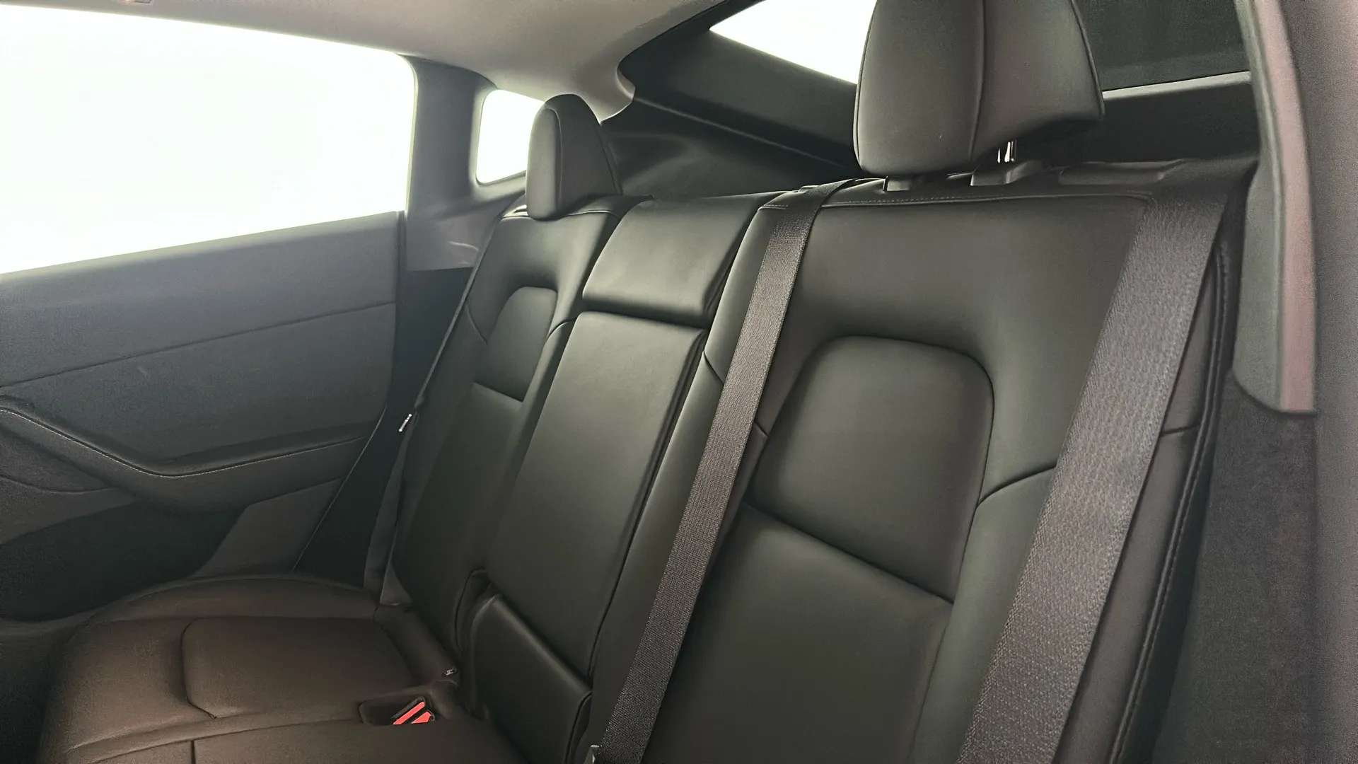 2024 TESLA MODEL Y 2024 TESLA MODEL Y