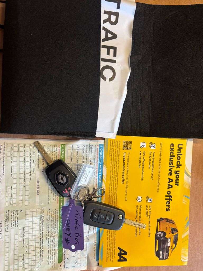 2024 RENAULT TRAFIC 2024 RENAULT TRAFIC