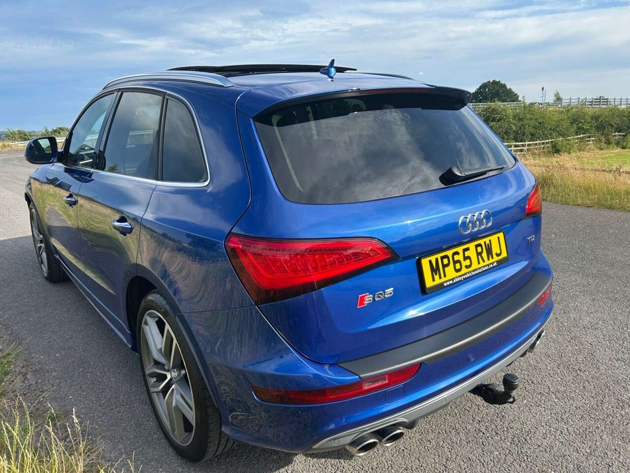 2015 AUDI SQ5 2015 AUDI SQ5