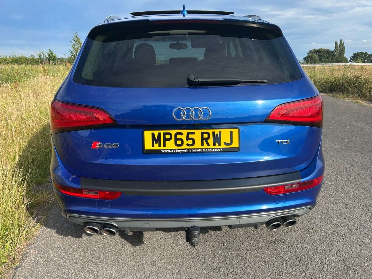 2015 AUDI SQ5 2015 AUDI SQ5