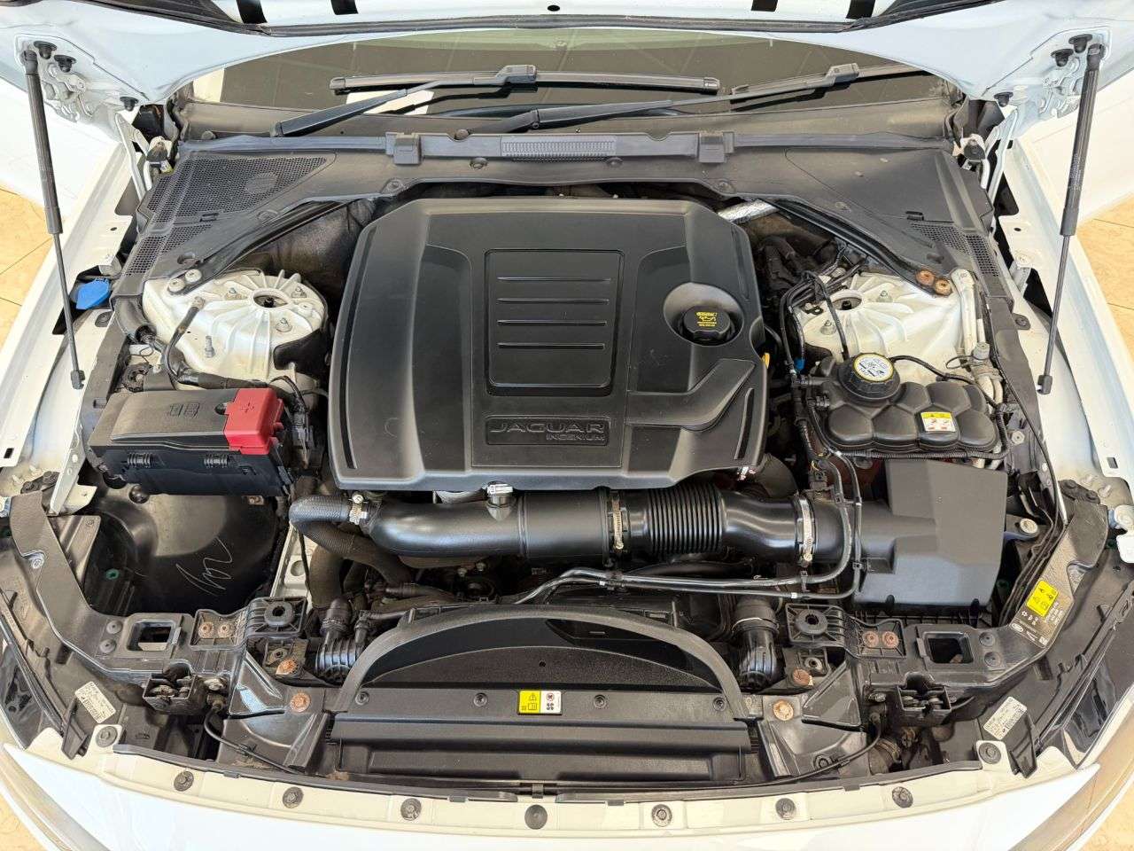 2019 JAGUAR XF 2019 JAGUAR XF