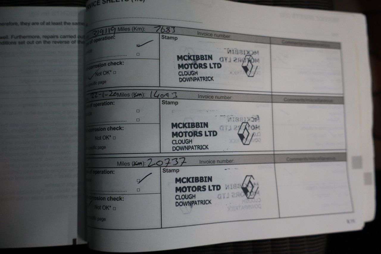 2019 RENAULT SCENIC 2019 RENAULT SCENIC