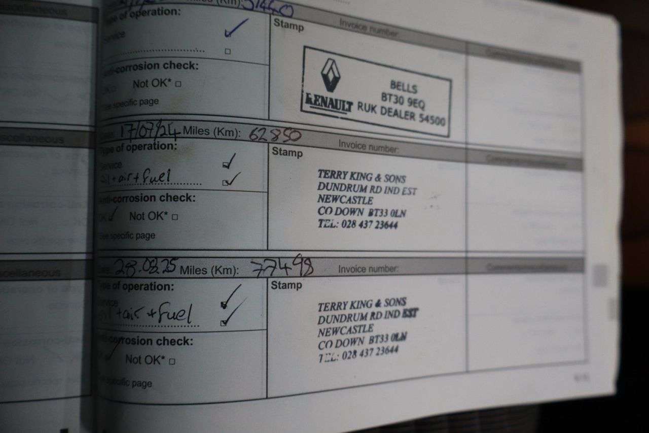 2019 RENAULT SCENIC 2019 RENAULT SCENIC