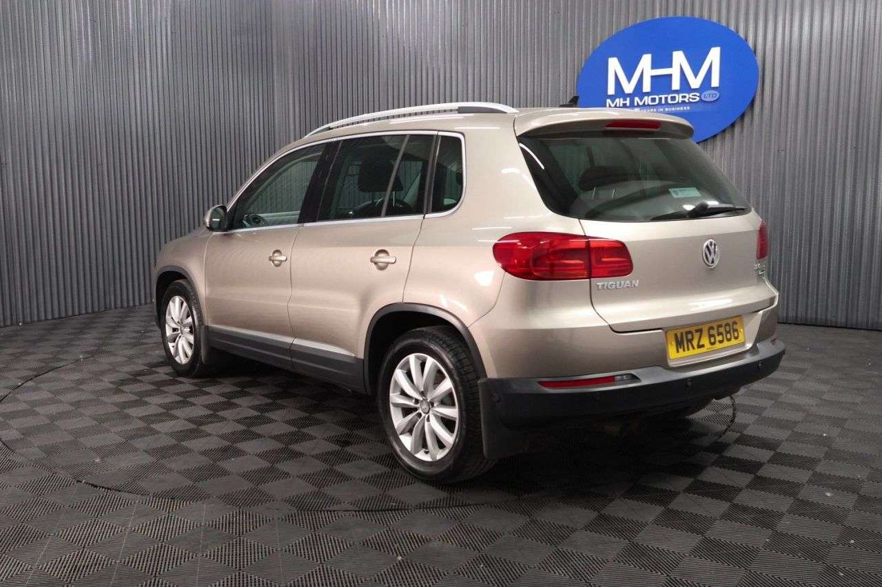 2015 VOLKSWAGEN TIGUAN 2015 VOLKSWAGEN TIGUAN