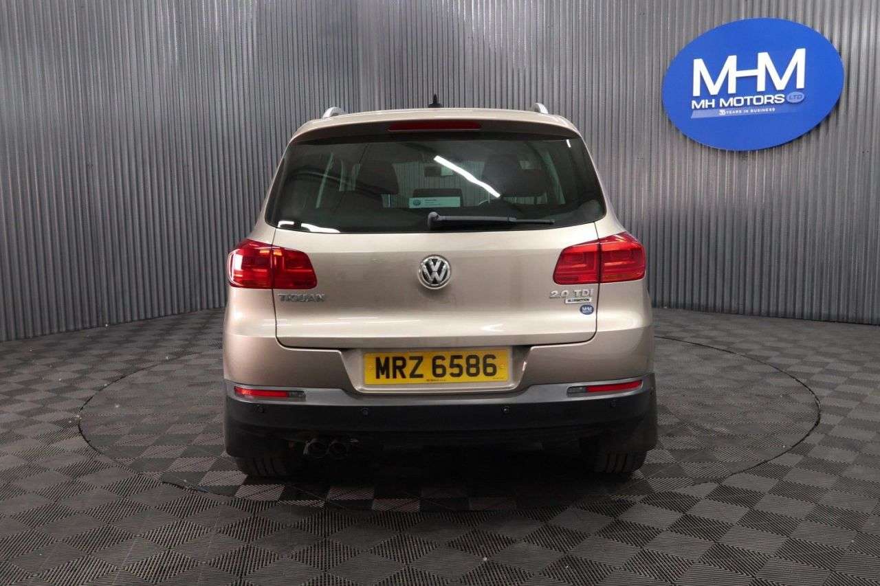2015 VOLKSWAGEN TIGUAN 2015 VOLKSWAGEN TIGUAN