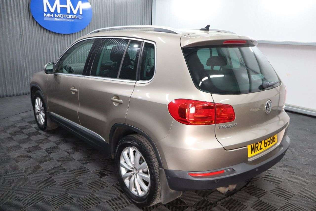 2015 VOLKSWAGEN TIGUAN 2015 VOLKSWAGEN TIGUAN