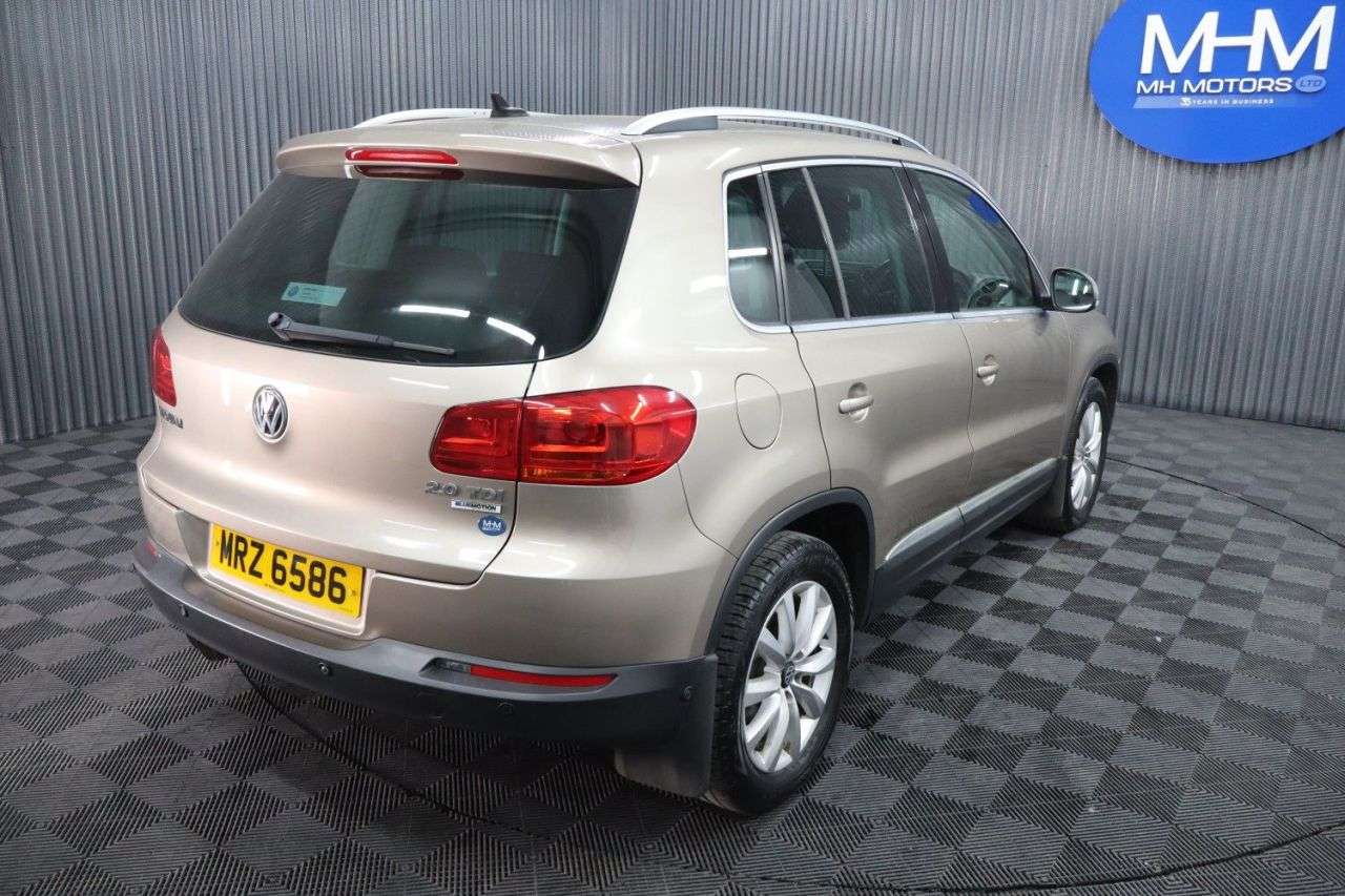 2015 VOLKSWAGEN TIGUAN 2015 VOLKSWAGEN TIGUAN