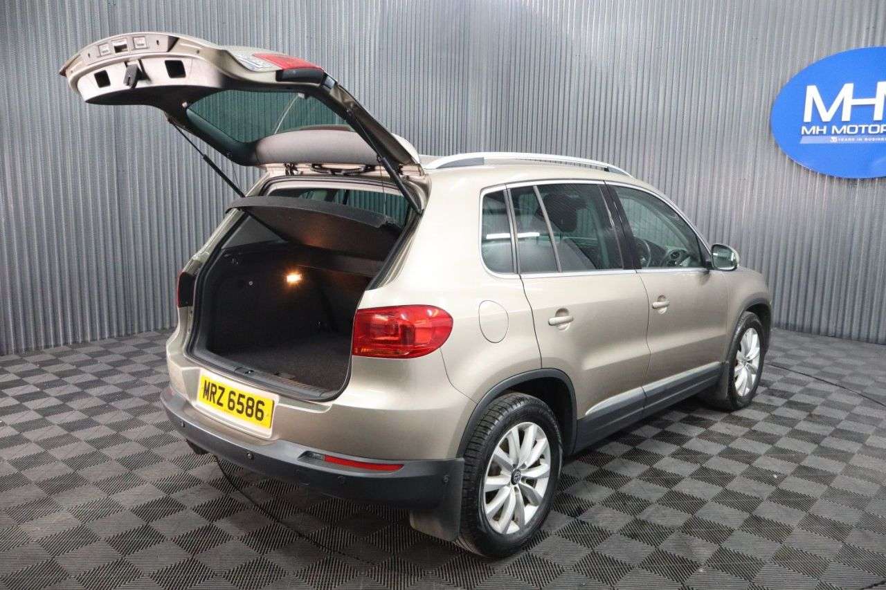 2015 VOLKSWAGEN TIGUAN 2015 VOLKSWAGEN TIGUAN