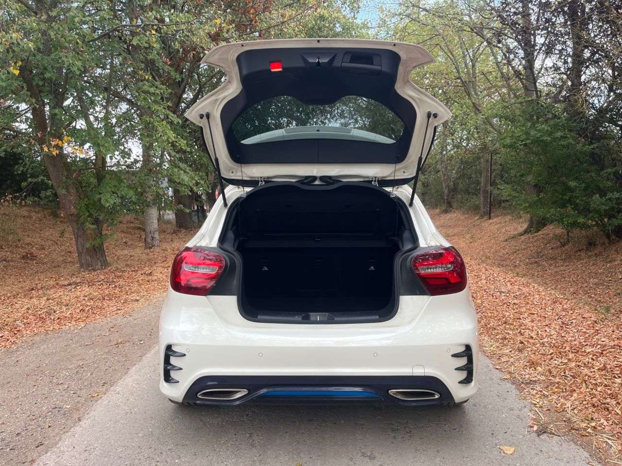 2016 MERCEDES-BENZ A CLASS 2016 MERCEDES-BENZ A CLASS