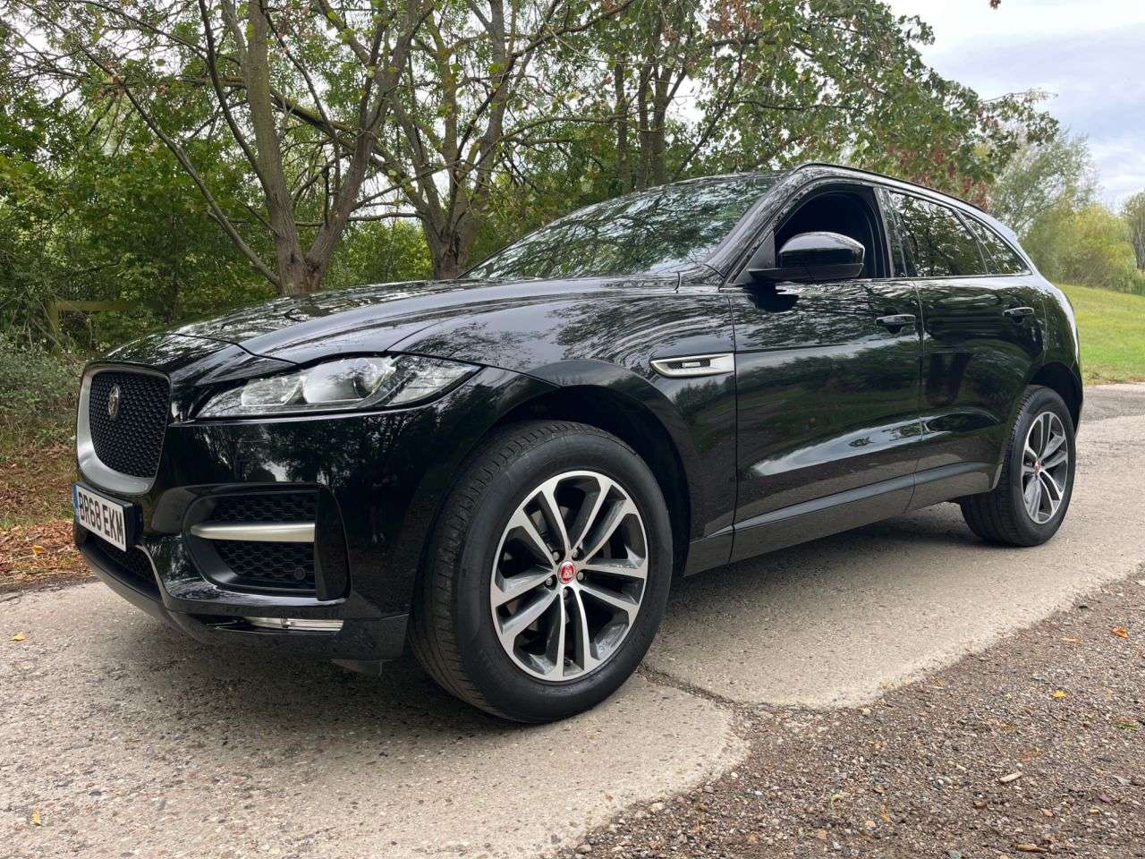 2019 JAGUAR F-PACE 2019 JAGUAR F-PACE