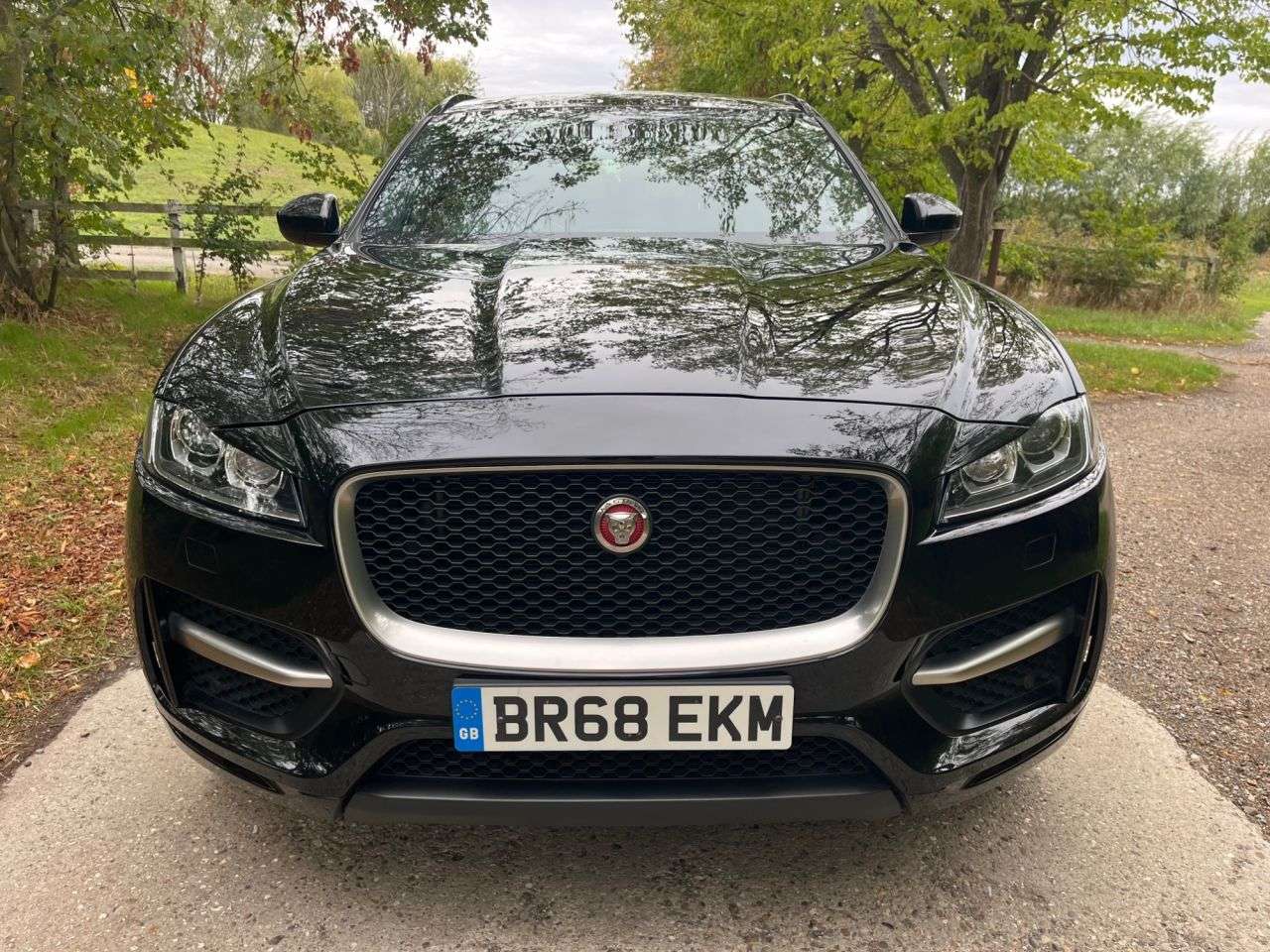 2019 JAGUAR F-PACE 2019 JAGUAR F-PACE
