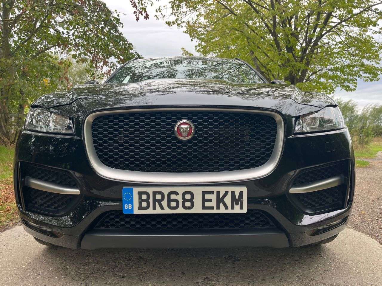 2019 JAGUAR F-PACE 2019 JAGUAR F-PACE