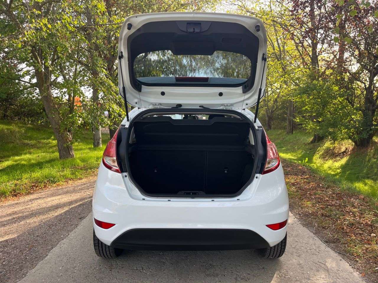 2013 FORD FIESTA 2013 FORD FIESTA