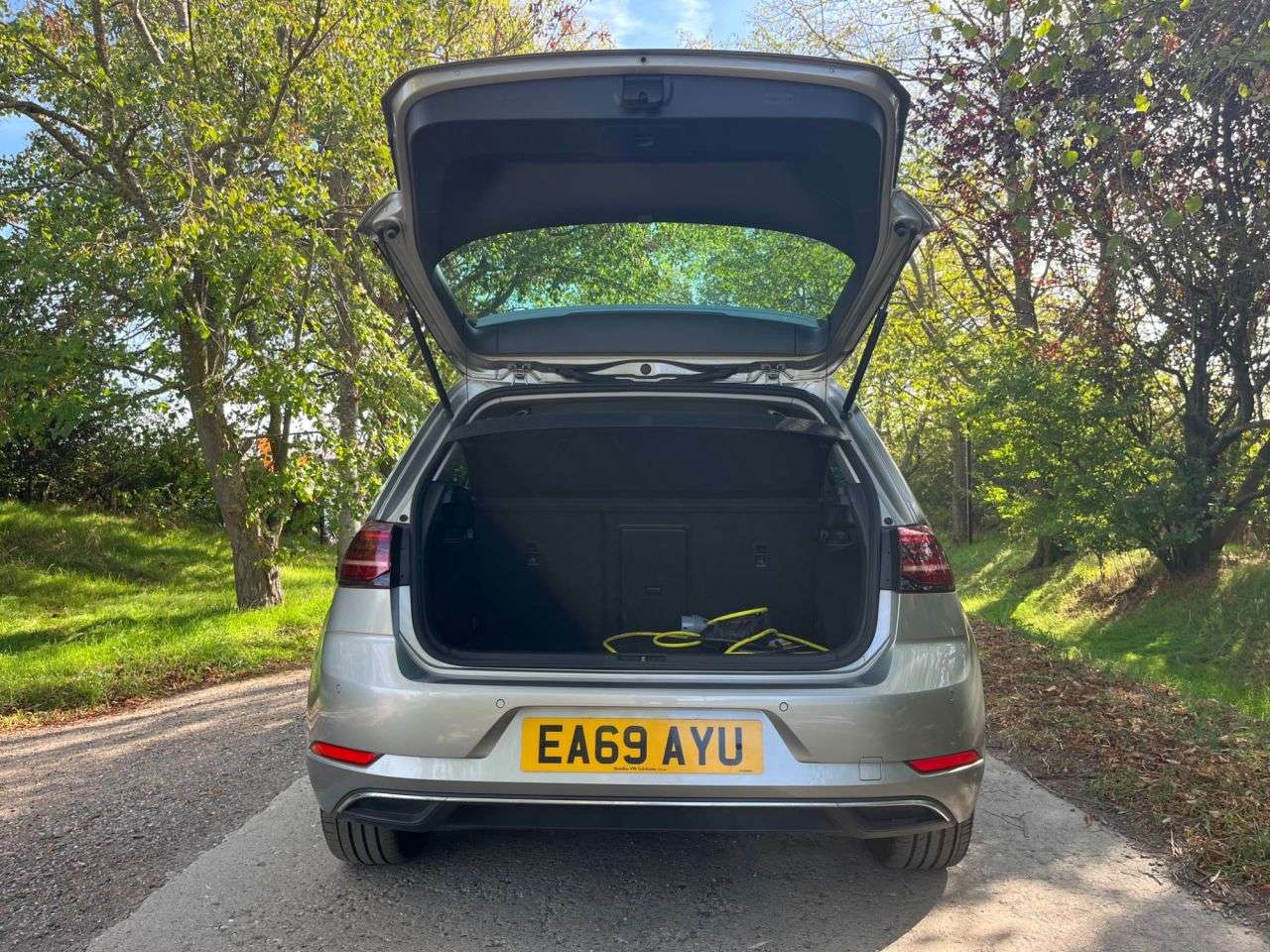 2019 VOLKSWAGEN E-GOLF 2019 VOLKSWAGEN E-GOLF