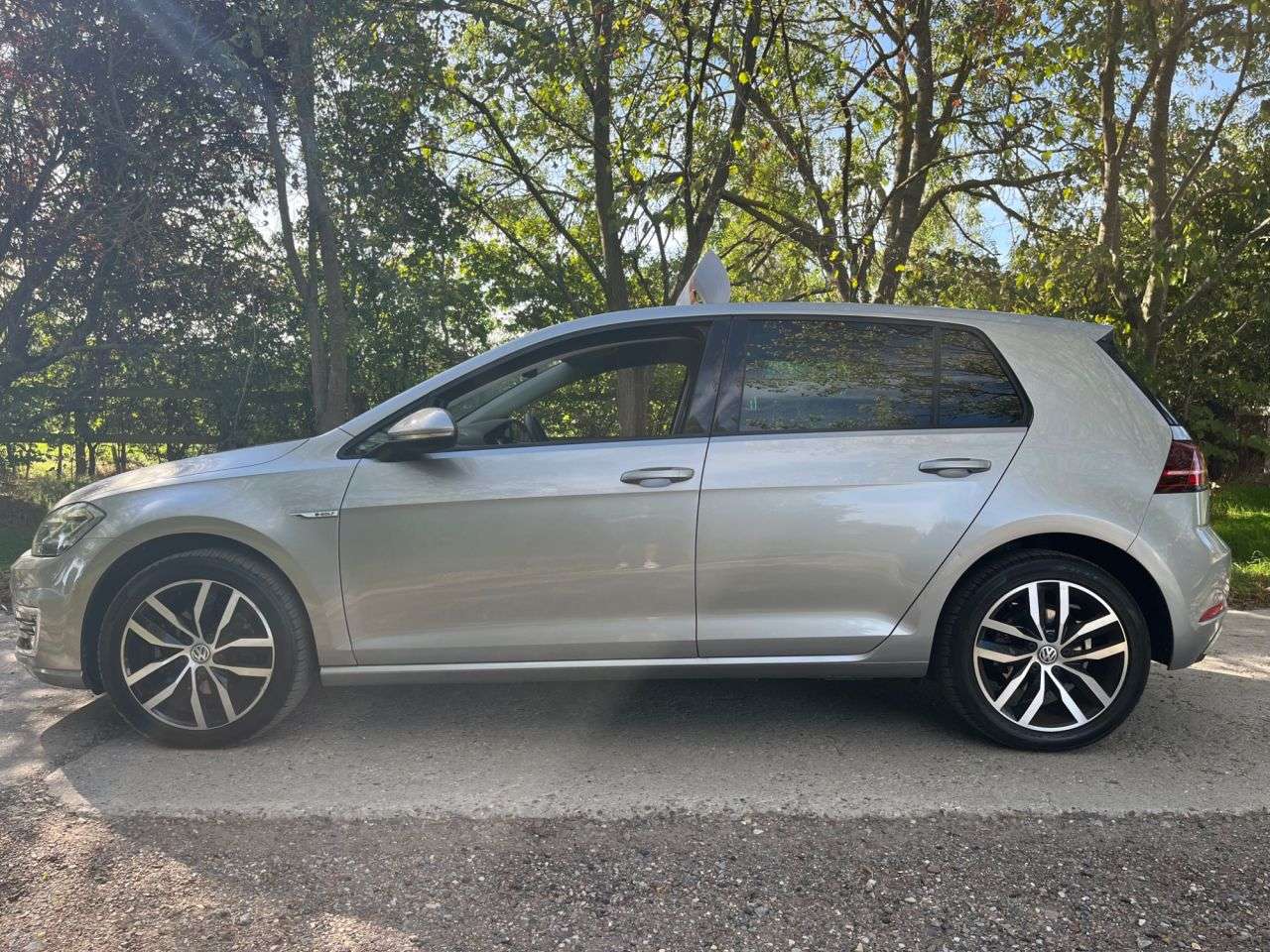 2019 VOLKSWAGEN E-GOLF 2019 VOLKSWAGEN E-GOLF
