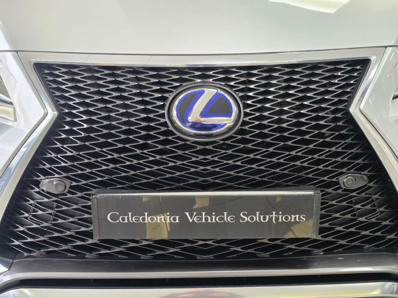 2019 LEXUS RX 2019 LEXUS RX