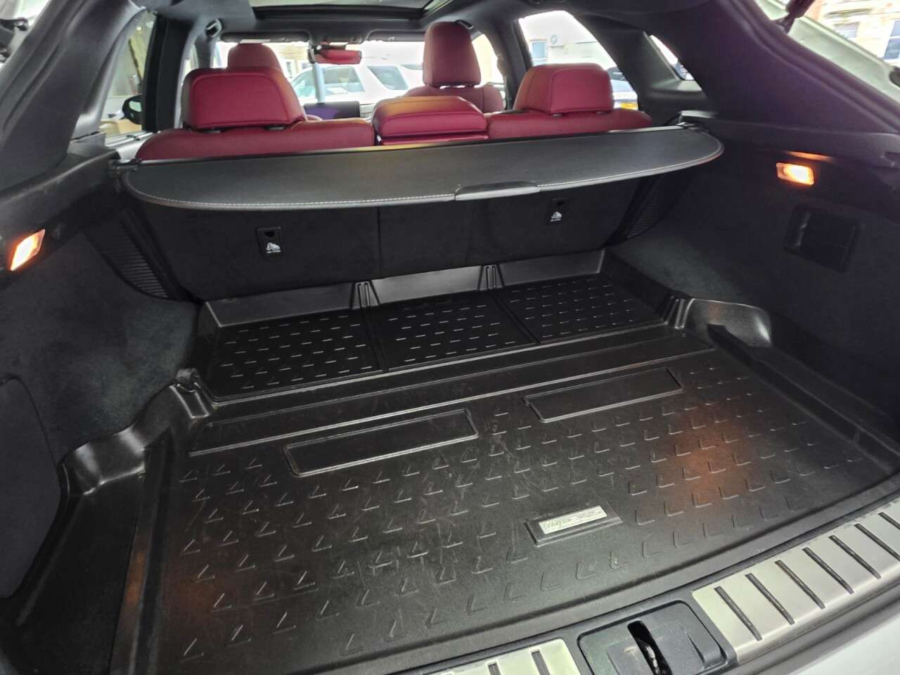 2019 LEXUS RX 2019 LEXUS RX