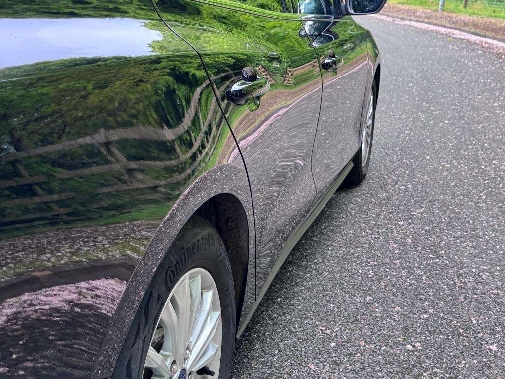 2019 FORD FOCUS 2019 FORD FOCUS