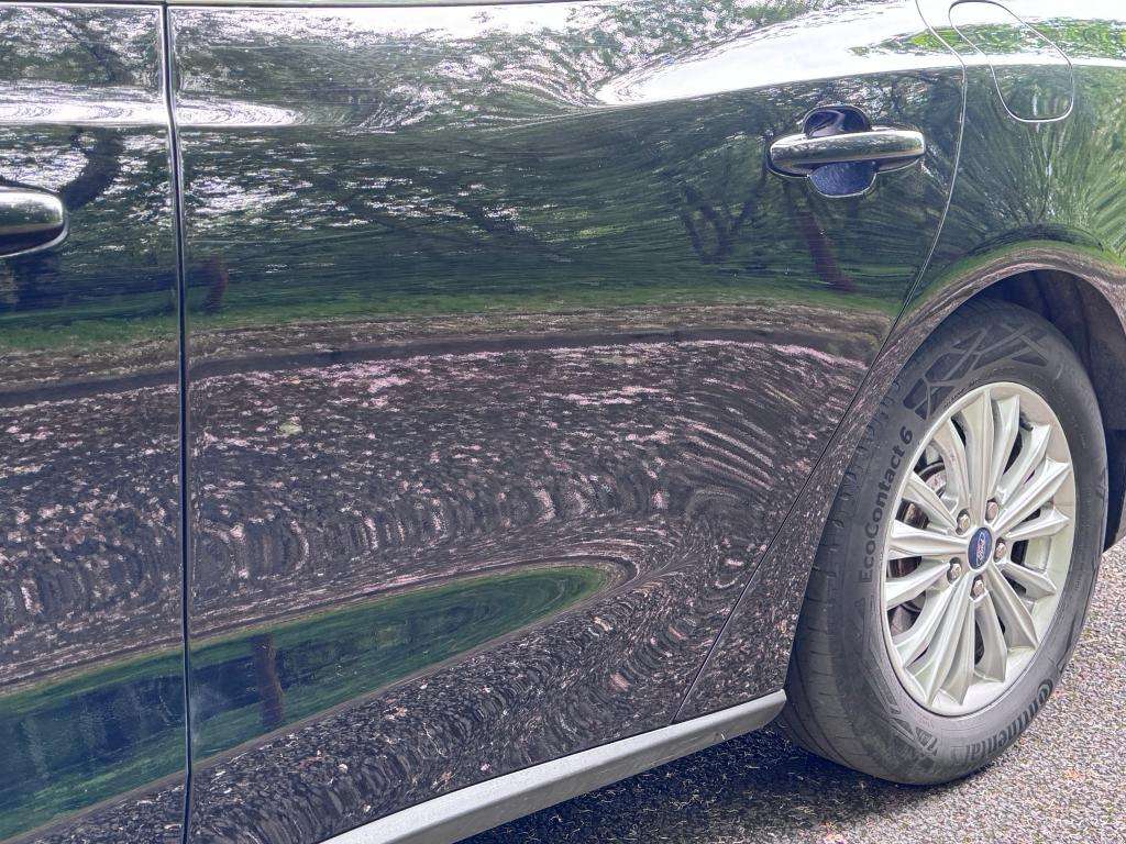 2019 FORD FOCUS 2019 FORD FOCUS