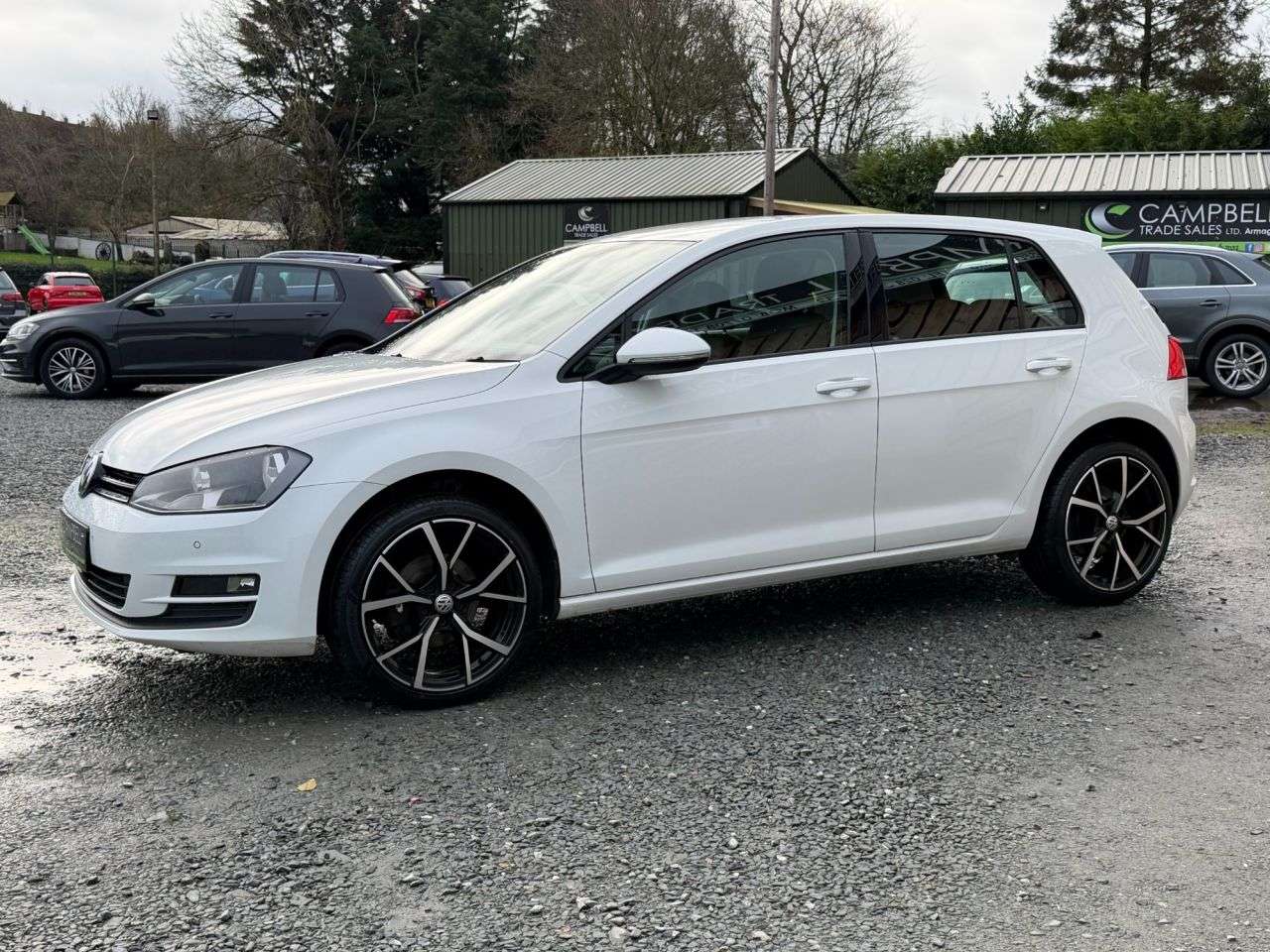 2014 VOLKSWAGEN GOLF 2014 VOLKSWAGEN GOLF