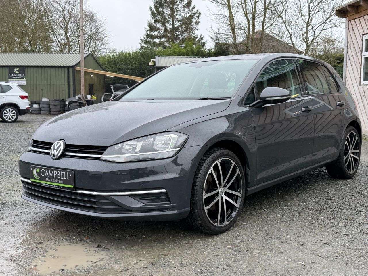 2017 VOLKSWAGEN GOLF 2017 VOLKSWAGEN GOLF