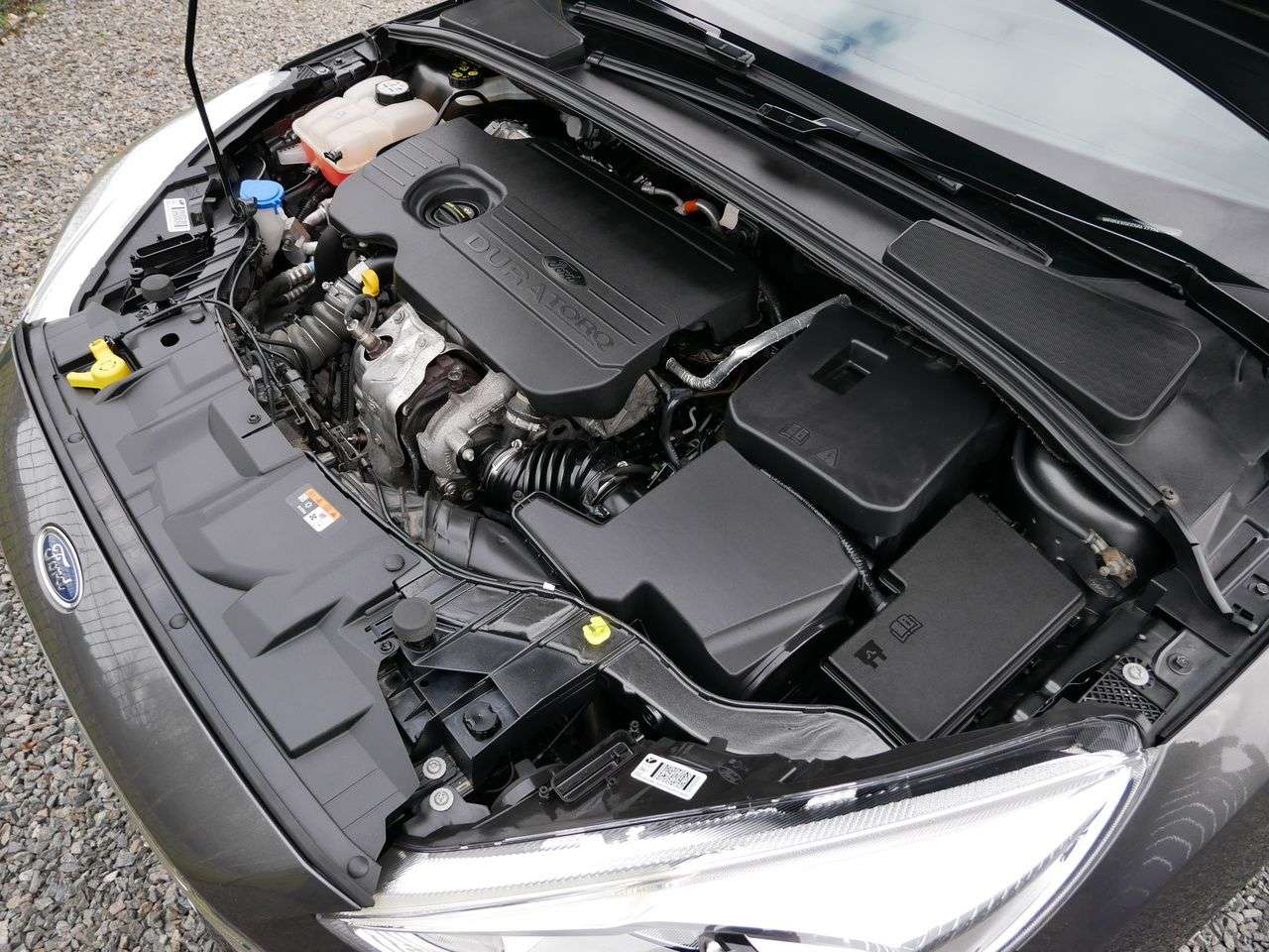 2016 FORD FOCUS 2016 FORD FOCUS