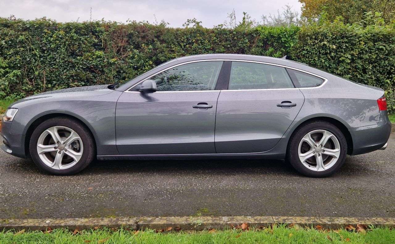 2013 AUDI A5 2013 AUDI A5