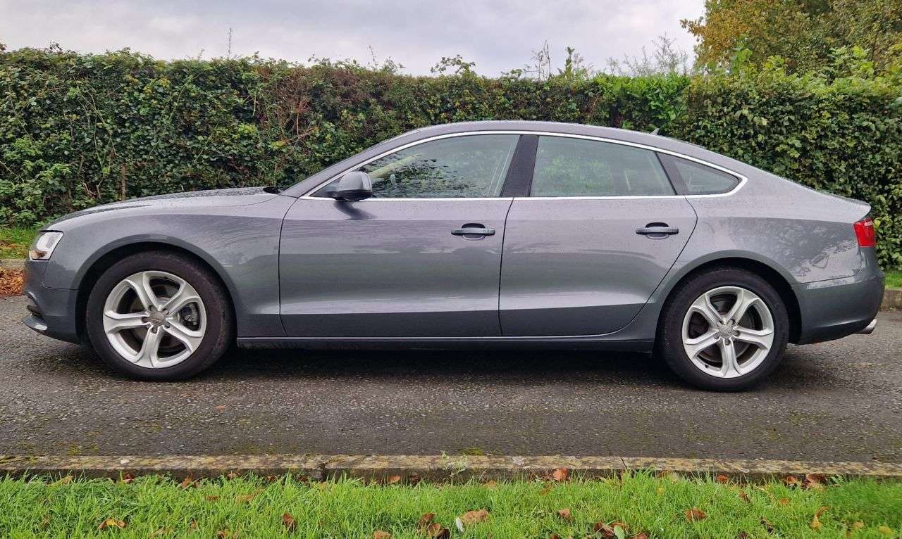 2013 AUDI A5 2013 AUDI A5