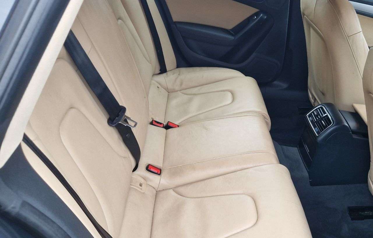 2013 AUDI A5 2013 AUDI A5