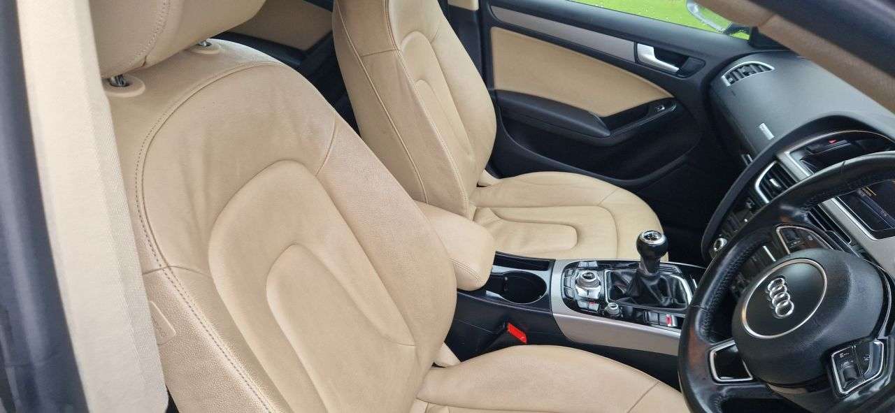 2013 AUDI A5 2013 AUDI A5