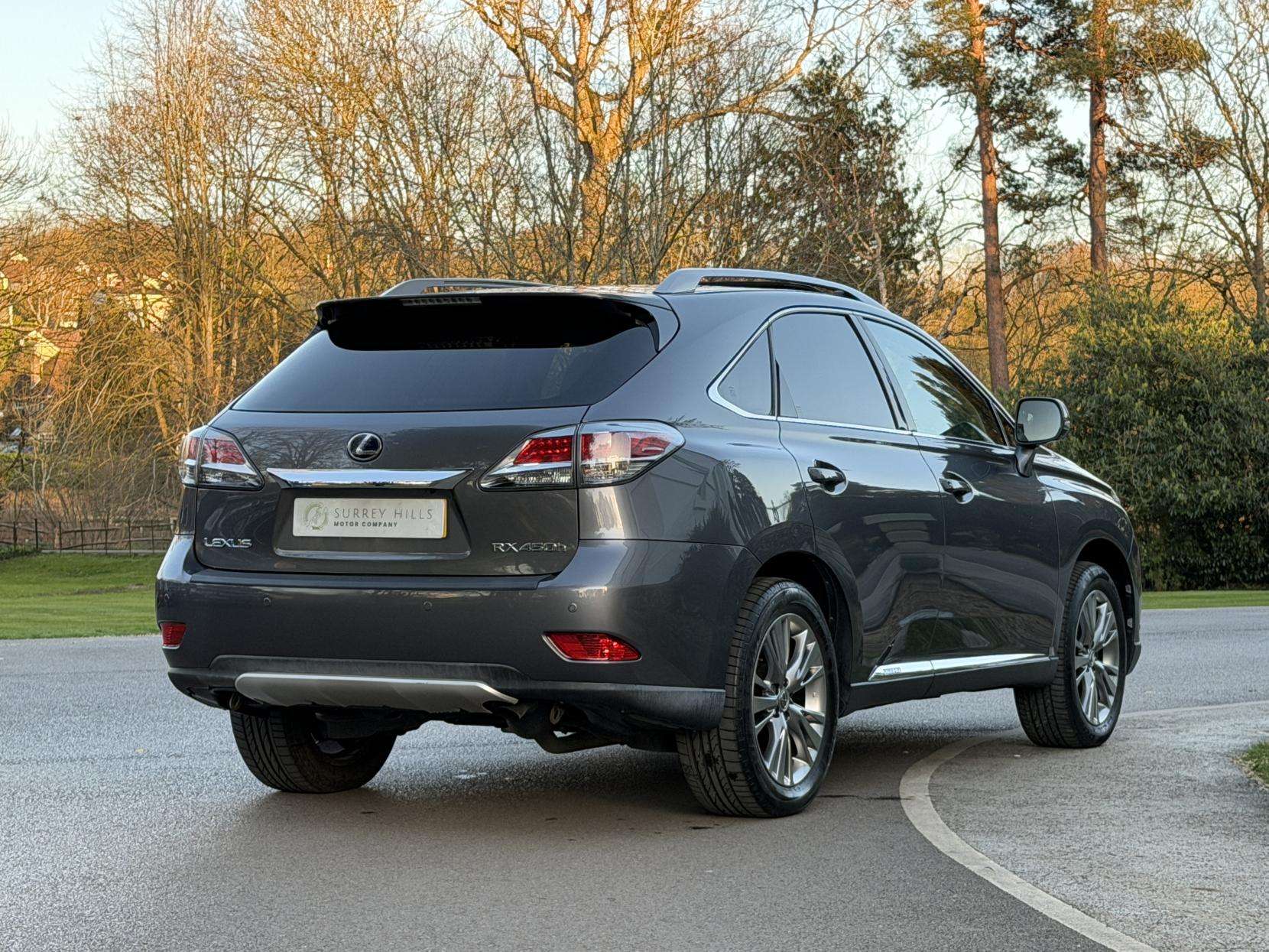 2013 LEXUS RX 2013 LEXUS RX