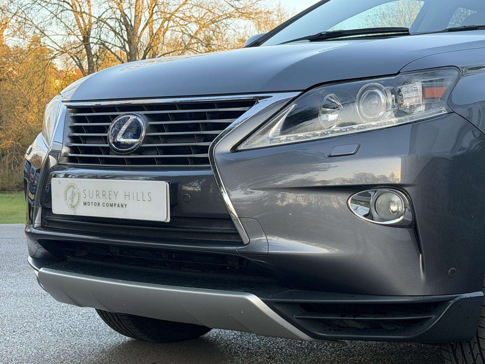 2013 LEXUS RX 2013 LEXUS RX