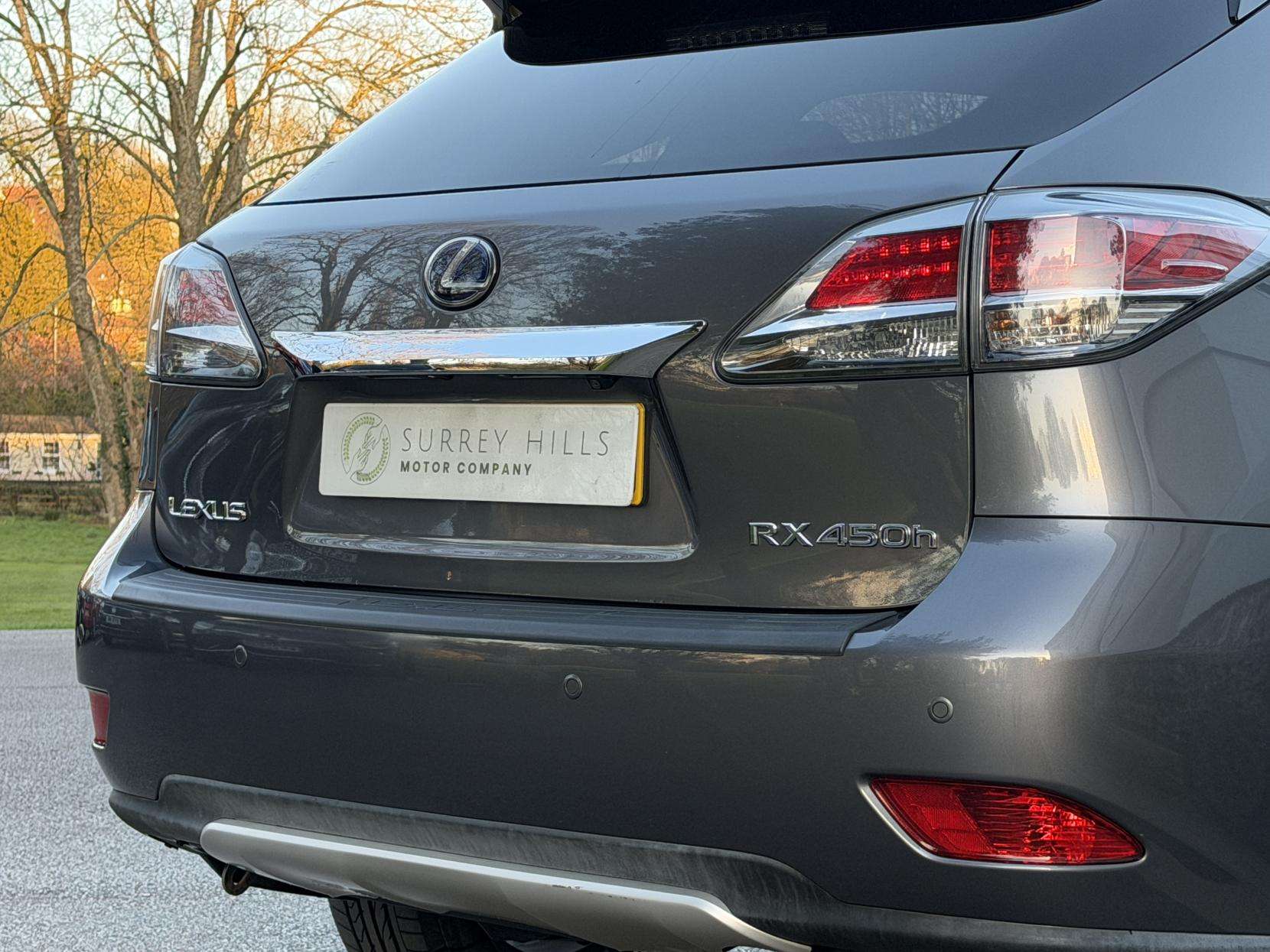 2013 LEXUS RX 2013 LEXUS RX