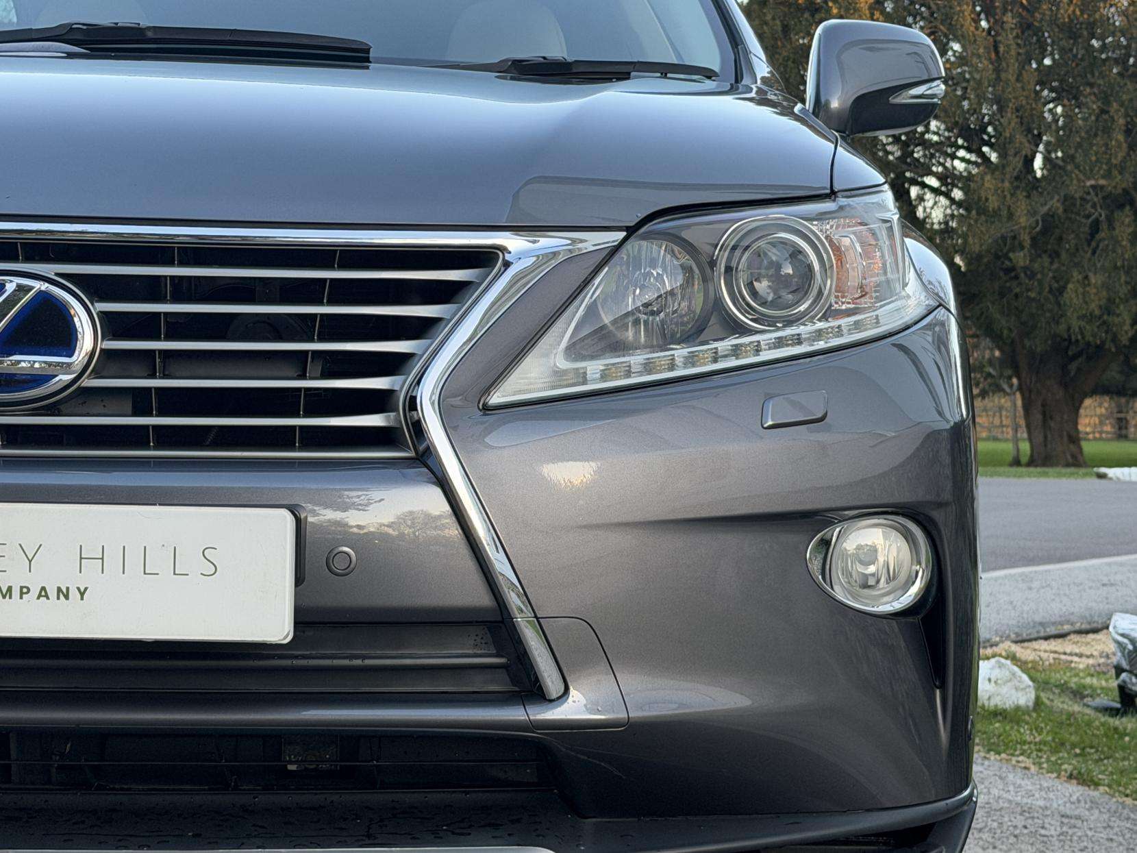 2013 LEXUS RX 2013 LEXUS RX