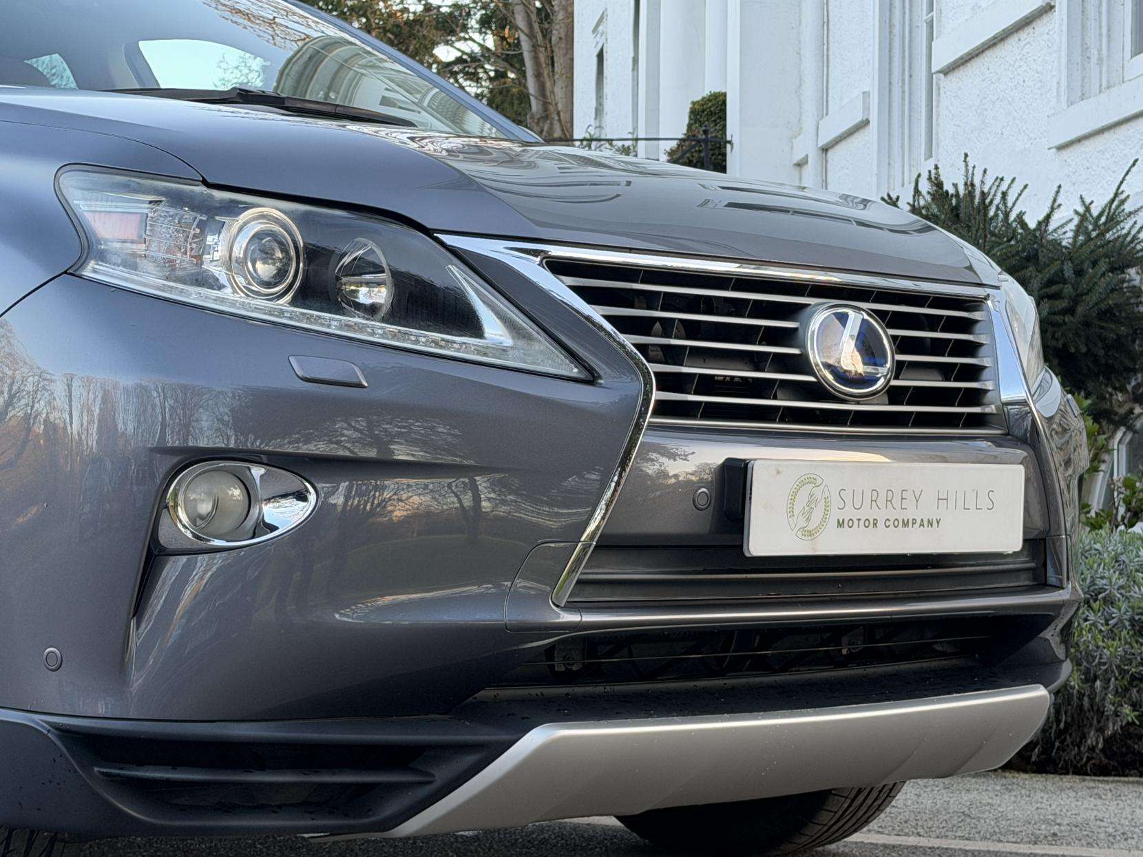 2013 LEXUS RX 2013 LEXUS RX