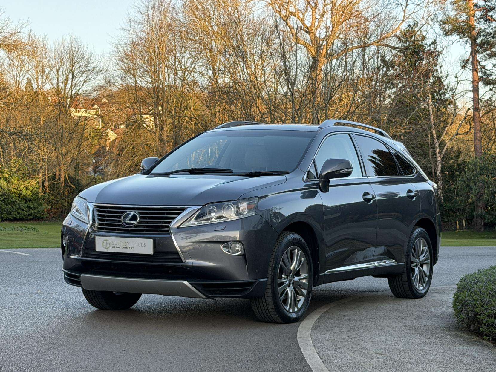 2013 LEXUS RX 2013 LEXUS RX