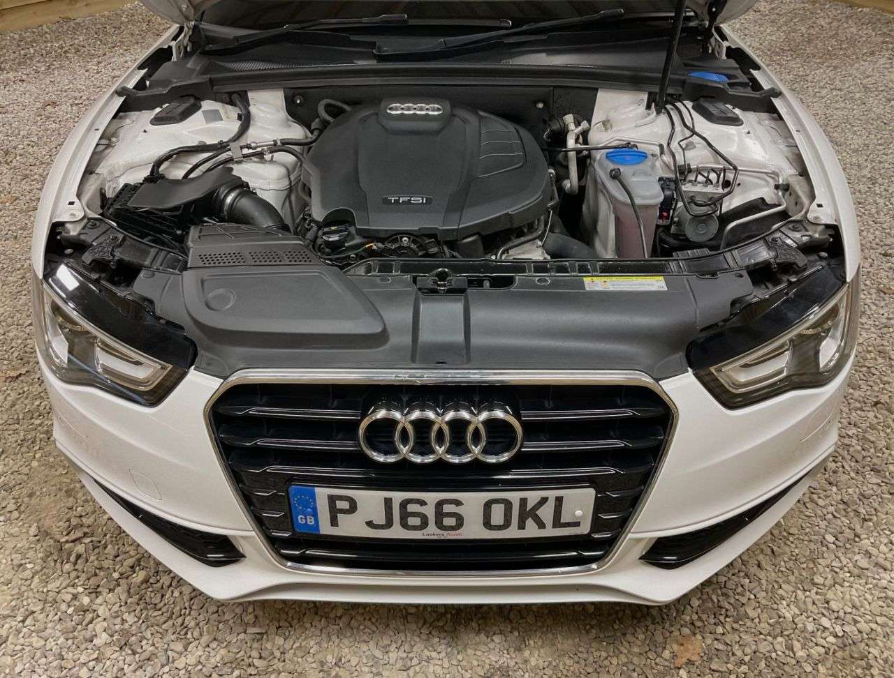 2016 AUDI A5 CABRIOLET 2016 AUDI A5 CABRIOLET