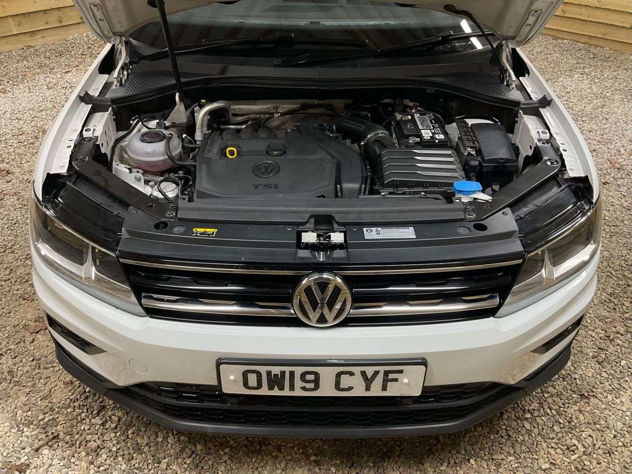 2019 VOLKSWAGEN TIGUAN 2019 VOLKSWAGEN TIGUAN