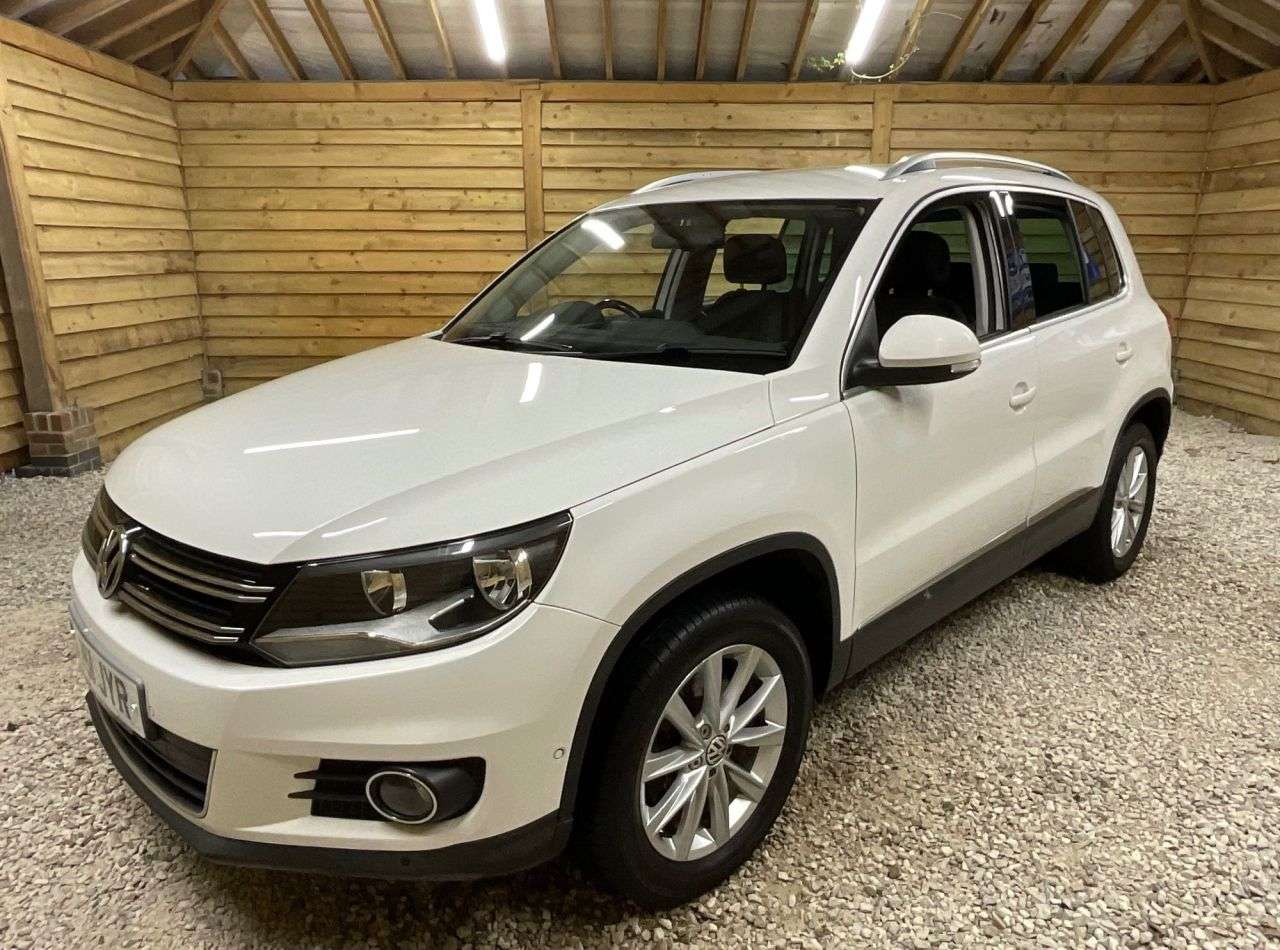 2011 VOLKSWAGEN TIGUAN 2011 VOLKSWAGEN TIGUAN
