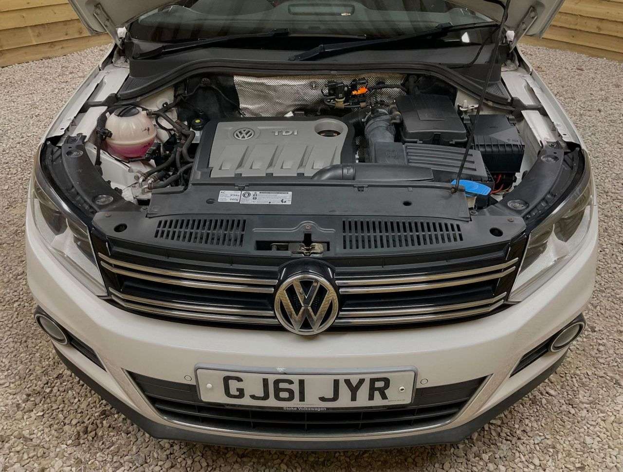 2011 VOLKSWAGEN TIGUAN 2011 VOLKSWAGEN TIGUAN