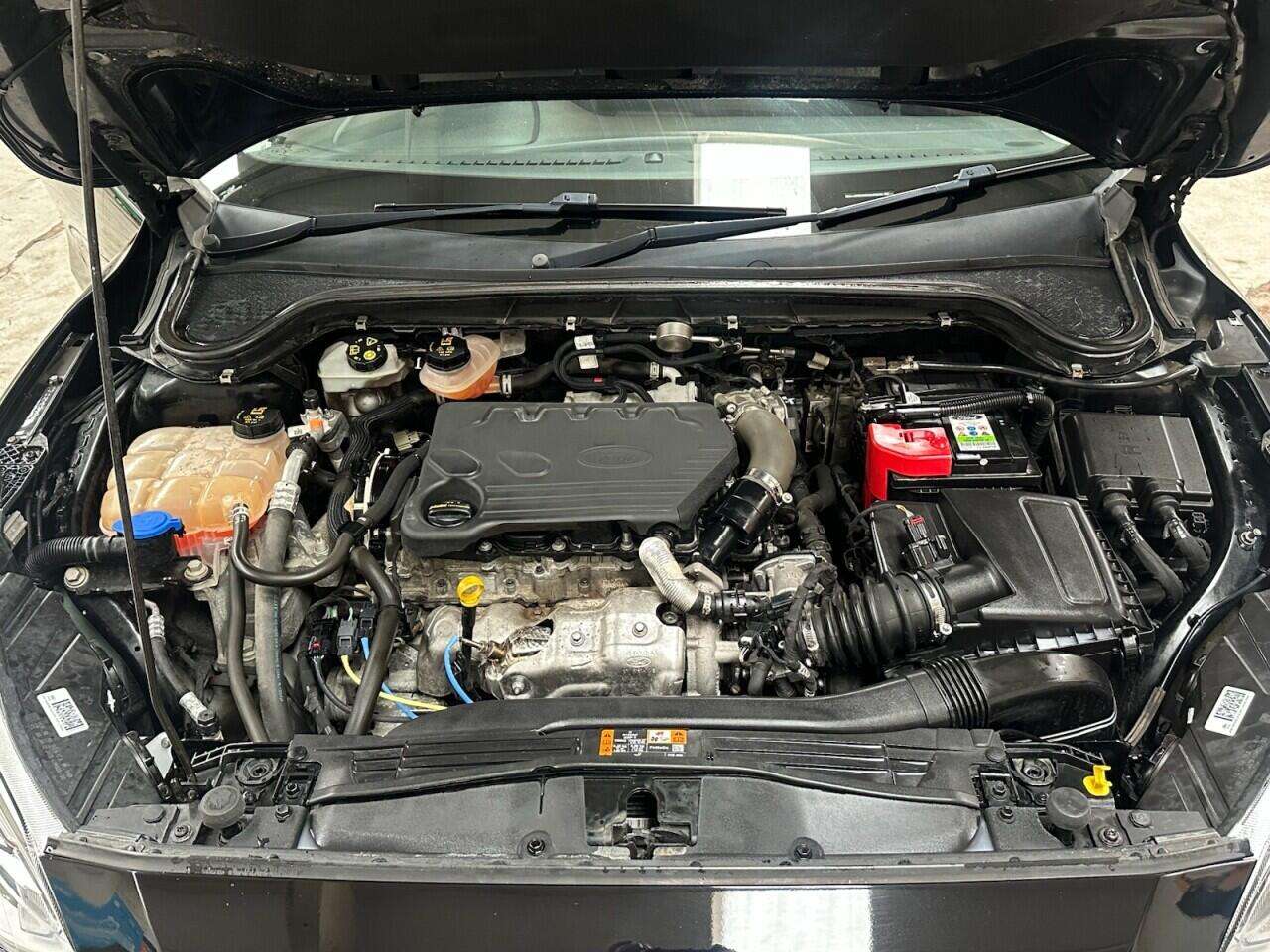 2019 FORD FOCUS 2019 FORD FOCUS