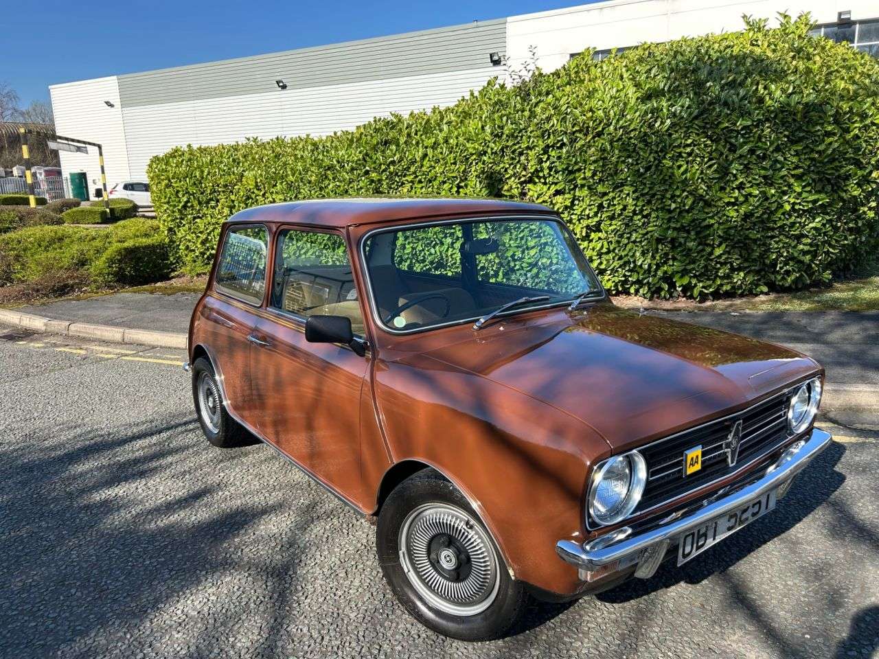 1979 AUSTIN MINI 1979 AUSTIN MINI