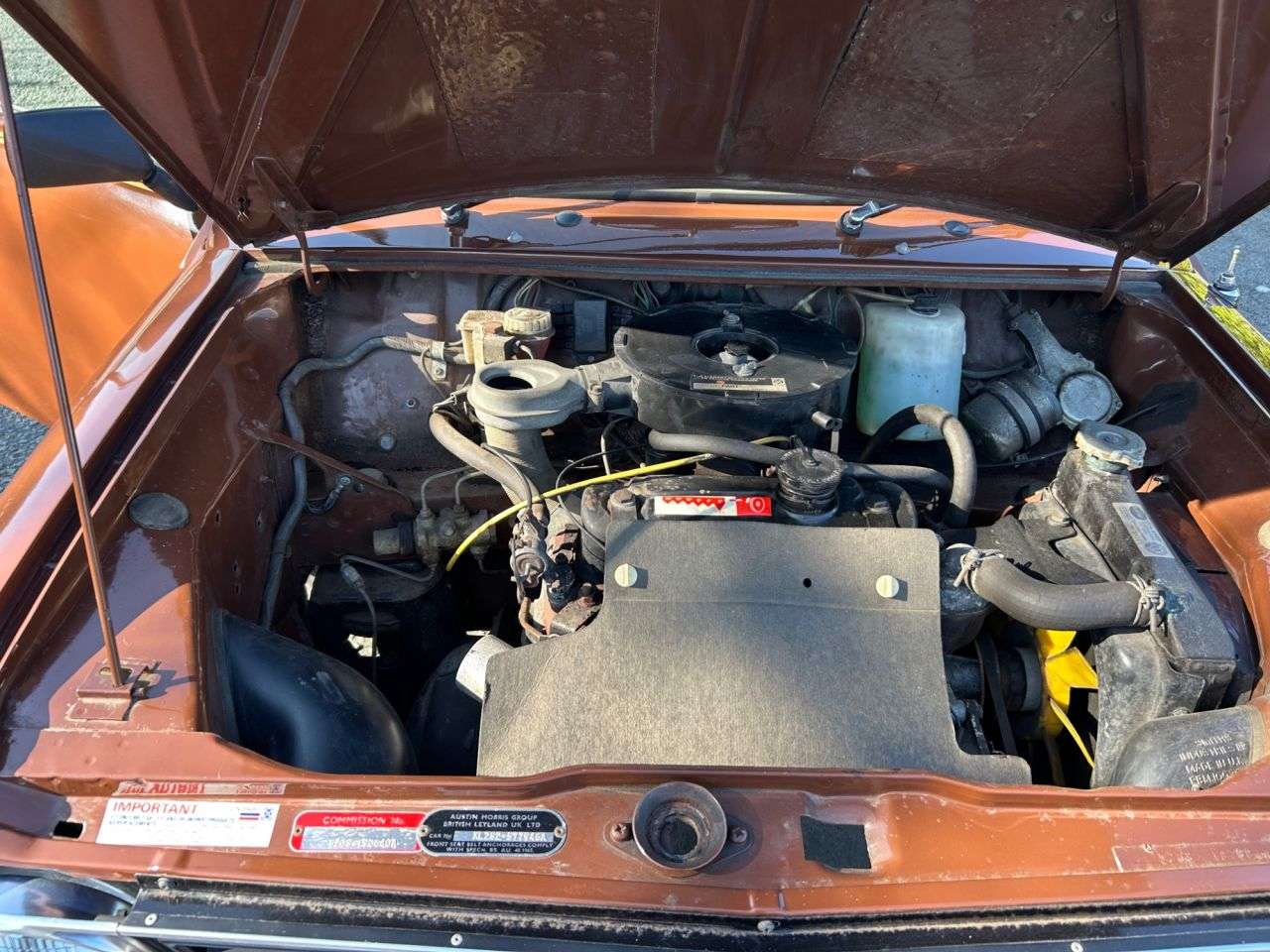 1979 AUSTIN MINI 1979 AUSTIN MINI