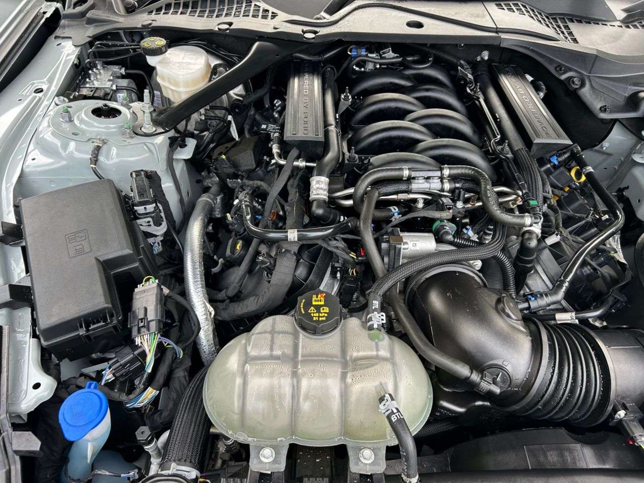 2021 FORD MUSTANG 2021 FORD MUSTANG