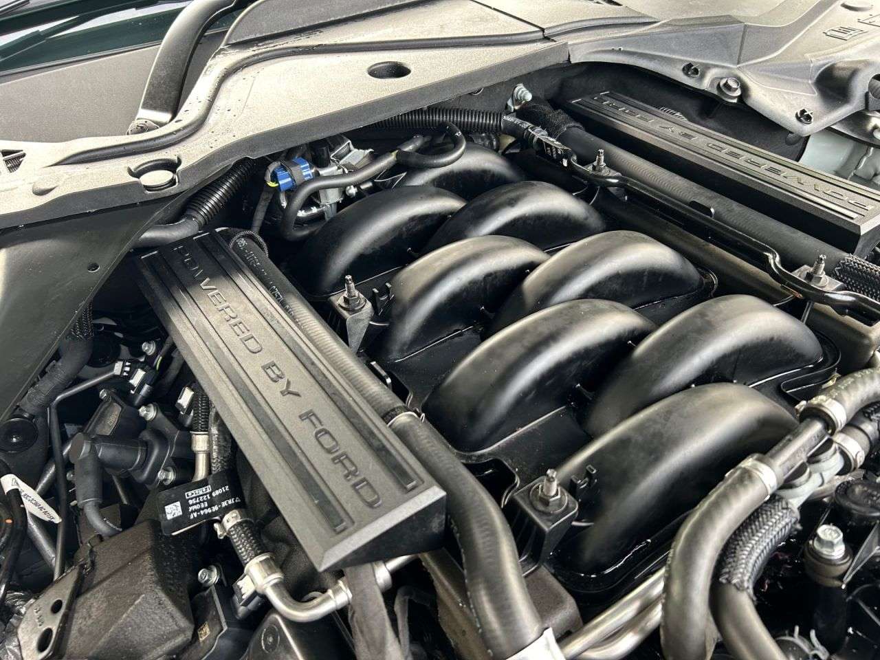 2021 FORD MUSTANG 2021 FORD MUSTANG