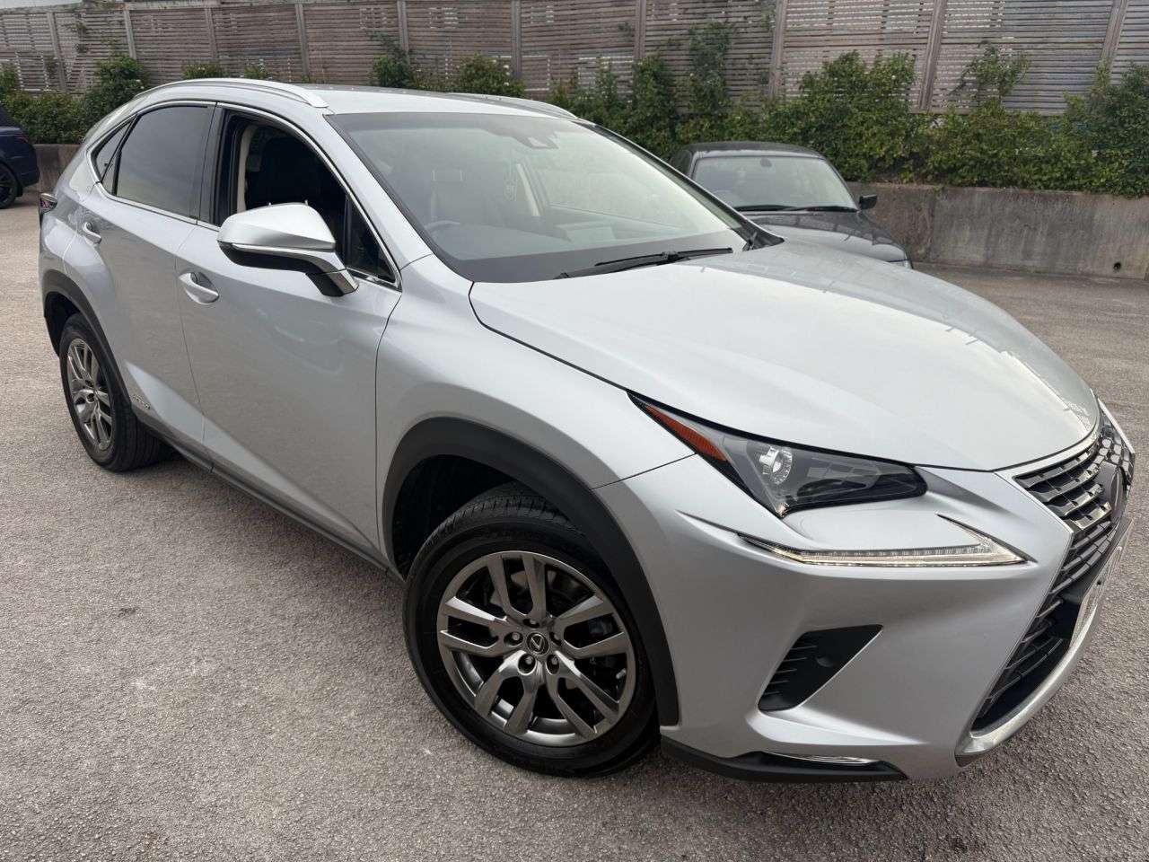 2019 LEXUS NX 2019 LEXUS NX