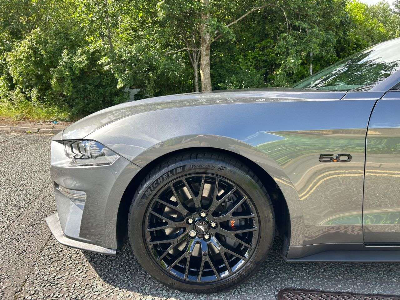 2022 FORD MUSTANG 2022 FORD MUSTANG